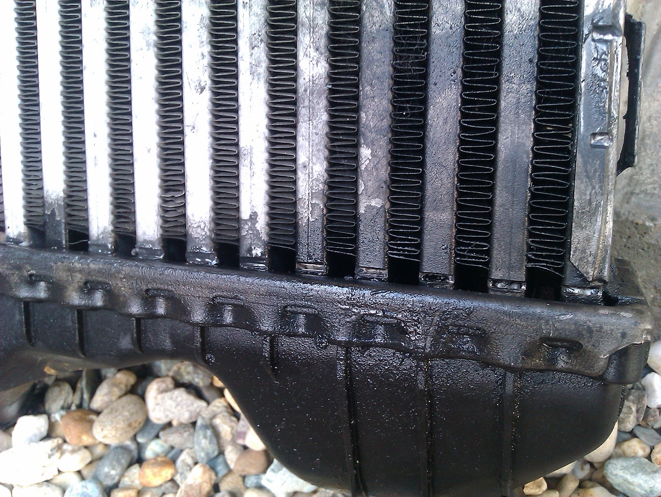 IMAG0028.jpg